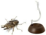 【中古】トレーディングフィギュア ローゼンベルグオウゴンオニクワガタ(ゴールド) 「いきもの大図鑑 ..