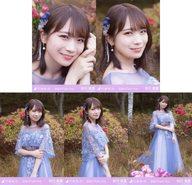 【中古】生写真(乃木坂46)/アイドル/乃木坂46 ◇秋元真夏/「最後のTight Hug」MV WebShop 限定個別生写真 5種コンプリートセット