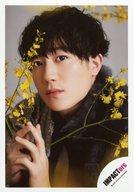 生写真(ジャニーズ)/アイドル/IMPACTors IMPACTors/椿泰我/バストアップ/Greeting Photo 〜New Year 2022〜/公式生写真