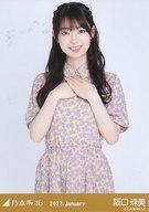 発売日 2022/01/15 メーカー 乃木坂46LLC 型番 - 関連商品はこちらから 乃木坂46LLC　