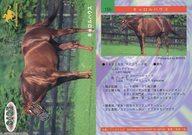 【中古】レギュラーカード/サラブレッドカード’96 上半期 156[レギュラーカード]：キャロルハウス