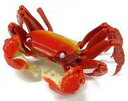 【中古】トレーディングフィギュア 3.アカテガニ(赤) 「いきもの大図鑑 かに02」
