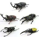 【中古】食玩 トレーディングフィギュア 全5種セット 「昆虫ハンター カブトムシ&クワガタ」