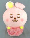 【中古】ぬいぐるみ COOKY(ジョングク) でっかいぬいぐるみ〜BABY SLEEPING TIME〜 「BT21」 GGE・ナムコ・タイトー・モーリーファン...