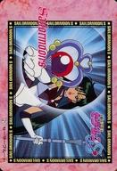 【中古】アニメ系トレカ/ノーマル/ブーケの国/美少女戦士セーラームーン S バンプレカード 第2弾 21[ノーマル]：セーラープルート