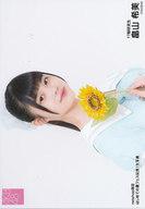 【中古】生写真(AKB48・SKE48)/アイドル/AKB48 畠山希