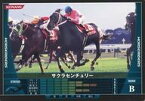 【中古】スポーツ/黒/HORSERIDERS Ver.1.0 HB07B141[黒]：サクラセンチュリー