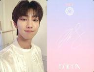 コレクションカード(男性)/｢Dicon PHOTOCARD101 SEVENTEEN｣フォトカード SEVENTEEN/THE 8(ディエイト)/裏面ピンク・印刷サイン入り/「Dicon PHOTOCARD101 SEVENTEEN」フォトカード