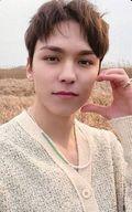 šۥ쥯󥫡()/CDFace the Sun(Weverse Album Ver.)ŵեȥ SEVENTEEN/VERNON(СΥ)/΢̥١塦/CDFace the Sun(Weverse Album Ver.)ŵեȥ