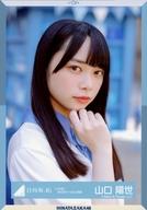 【中古】生写真(乃木坂46)/アイドル/日向坂46 山口陽