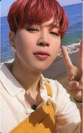 ͥåȥå׽ٲϲŷԾŹ㤨֡šۥ쥯󥫡(/CDButter (Peaches Ver.ŵեȥ ƾǯ/Jimin(ߥ/CDButter (Peaches Ver.ŵեȥɡפβǤʤ250ߤˤʤޤ