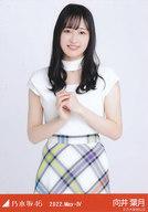 【中古】生写真(乃木坂46)/アイドル/