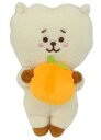 【中古】ぬいぐるみ RJ(ジン) フルーツぬいぐるみ(M) 「BT21」