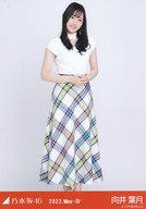 【中古】生写真(乃木坂46)/アイドル/