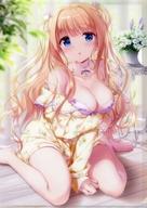 【中古】クリアファイル きみしま青イラスト A4クリアファイル 「Bloomin’ -きみしま青画集- 箔押しケース+ラフ画集セット版」 メロンブックス購入特典