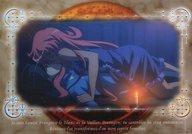 【中古】アニメ系トレカ/ノーマルカード/契約の証カード/ゼロの使い魔 トレーディングカード 50[ノーマルカード]：ルイズ＆平賀才人