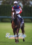 【中古】スポーツ雑誌 Espoir City MEMORIAL BOOK