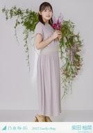 ����š����̿�(ǵ�ں�46)/�����ɥ�/ǵ�ں�46 ����ͮ��/����/2022 ʡ�� Lucky Bag �֥�������������