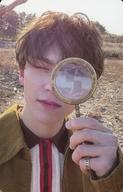 【中古】コレクションカード(男性)/CD｢Face the Sun｣(ep.4 Path)封入特典フォトカード SEVENTEEN/VERNON(バーノン)/裏面茶/CD「Face the Sun」(ep.4 Path)封入特典フォトカード