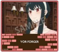 šۥ饫 롦ե㡼A SPYFAMILY ȥ졼ǥ󥰥ꥢɡ