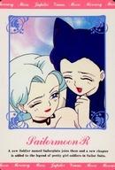 発売日 1993/01/01 メーカー 天田印刷 型番 - 備考 レア度：ノーマル美少女戦士セーラームーン R ヒーローコレクション PART2こちらの商品は発売された年代が古いため、多少の経年劣化が見られる場合がございます。予めご了承ください。 関連商品はこちらから 天田印刷　