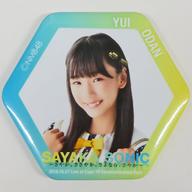 【中古】バッジ・ピンズ(女性) 大段結愛(NMB48) 六角形缶バッジ 「SAYAKA SONIC 〜さやか、ささやか、さよなら、さやか〜」 クレーンゲーム景品