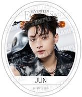 [중고] 식완 스티커 씰 4. [SVT GUMMI From PLEDIS ENTERTAINMENT SEVENTEEN]