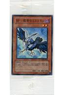 ����š�ͷ����/NP/���̥�󥹥���/��ǧ��񳫺�Ź����2�ѥå����å� ���󥷥���ȡ��ץ��ե����� ANPR-JP004[NP]��BF-���Υߥ��ȥ��(̤����...