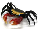 【中古】トレーディングフィギュア アカテガニ(リアルカラーバージョン) 「いきもの大図鑑アドバンス カニ」