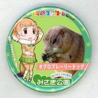 バッジ・ピンズ オグロプレーリードッグ 缶バッジ 「けものフレンズ×みさき公園 ～飛び出せみさきフレンズ～」