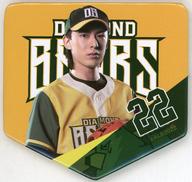 【中古】バッジ・ピンズ 北園涼 ホームベース型缶バッジ 「『ACTORS☆LEAGUE in Baseball 2022』 DIAMOND BEARSオンラインくじ」 C-8賞