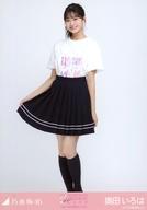 š̿(ǵں46)/ɥ/ǵں46 Ĥ/ȡ11thBD饤 5T/ǵں46 11th YEAR BIRTHDAY LIVE -5th MEMBERS LIVE-ײ̿