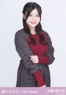 【中古】生写真(乃木坂46)/アイドル/乃木坂46 伊藤理