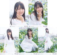 楽天市場】乃木坂 ここにはないもの（ホビー）の通販