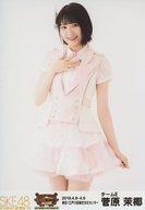【中古】生写真(AKB48・SKE48)/アイドル/SKE48 菅原茉椰/膝上/SKEBINGO!PRESENTS SKE48コンサート炎の関東ツアー2019〜みなさん長らくお待たせしました〜 ランダム生写真 「2019.4.8-4.9」東京/江戸川区総合文化センター