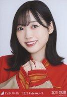 ͥåȥå׽ٲϲŷԾŹ㤨֡š̿(ǵں46/ɥ/ǵں46 ͪ/Хȥåס/ǵں46 2023.February-IIײ̿פβǤʤ220ߤˤʤޤ