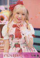 【中古】生写真(AKB48・SKE48)/アイドル/AKB48 小林蘭