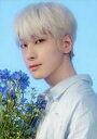 【中古】コレクションカード(男性)/「SEVENTEEN 2022 JAPAN FANMEETING ’HANABI’」トレーディングカード 006:SEVENTEEN/WONWOO(ウォヌ)/「SEVENTEEN 2022 JAPAN FANMEETING ’HANABI’」トレーディングカード