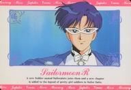 発売日 1993/01/01 メーカー 天田印刷 型番 - 備考 レア度：ノーマル美少女戦士セーラームーン R ヒーローコレクション PART2こちらの商品は発売された年代が古いため、多少の経年劣化が見られる場合がございます。予めご了承ください。 関連商品はこちらから 天田印刷　