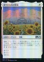 【中古】マジックザギャザリング/日本語版FOIL/U/基本セット2021 033/274 U ：【FOIL】穏やかな光の聖域/Sanctum of Tranquil Light