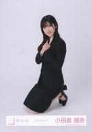 発売日 2023/04/08 メーカー Seed ＆ Flower LLC 型番 - 関連商品はこちらから Seed ＆ Flower LLC　