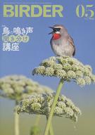 【中古】動物 ペット雑誌 BIRDER 2023年5月号