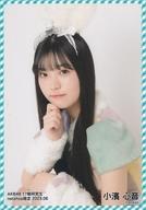 【中古】生写真(AKB48・SKE48)/アイドル/AKB48 小濱心