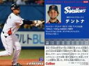 【中古】スポーツ/2010プロ野球チップス第1弾/ヤクルト/レギュラーカード 020：デントナの商品画像