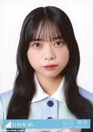 【中古】生写真(乃木坂46)/アイドル/日向坂46 19：山口陽世/CD「Am I ready?」初回仕様限定盤(TYPE-B)(SRCL 12612〜3)封入特典生写真
