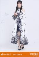 ͥåȥå׽ٲϲŷԾŹ㤨֡š̿(ǵں46/ɥ/ǵں46 շ/ȡ11thBD饤ִ̰/ǵں46 2023.June-IIWebShop ̿פβǤʤ200ߤˤʤޤ