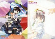 楽天市場】高咲（コレクション｜ホビー）の通販