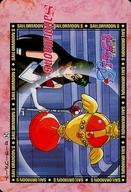 【中古】アニメ系トレカ/ノーマル/ブーケの国/美少女戦士セーラームーン S バンプレカード 第2弾 24[ノーマル]：セーラープルート