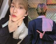 šۥ쥯󥫡()/CDSERIES O [ROUND 3  WHOLE](B Ver.)ξ̥եȥ VERIV...