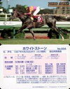 【中古】スポーツ/レギュラーカード/まねき馬カード 第11弾 馬光 Part.1 No.534 レギュラーカード ：ホワイトストーン